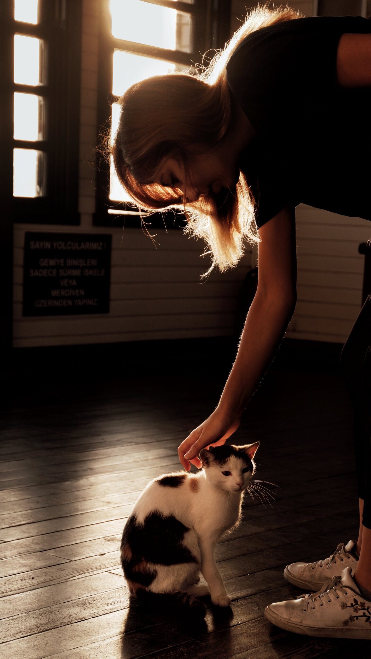 Are Capybaras Smarter Than Dogs?