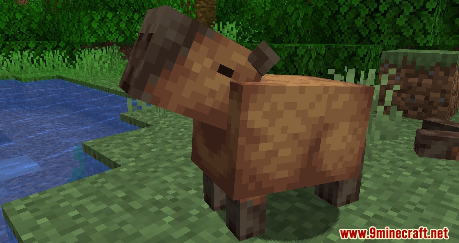 Capybara Mod: Enhance Your Minecraft Experience with Forge