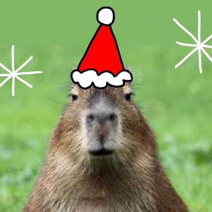 Cute Capybara Wearing a Festive Santa Hat