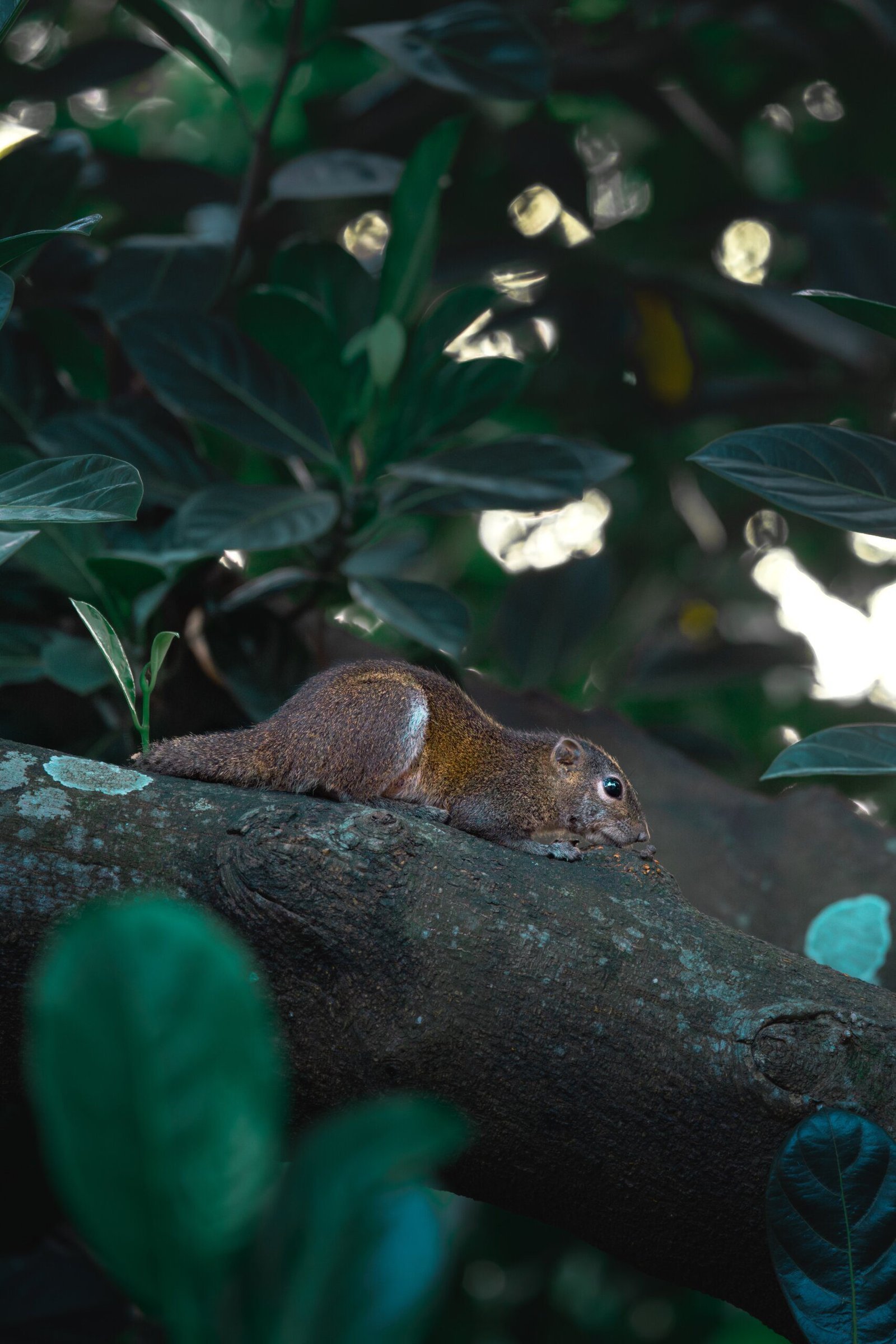 Discover the Unique Capybara Habitat near Playa del Carmen