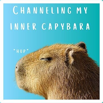 Discover Your Inner Capybara