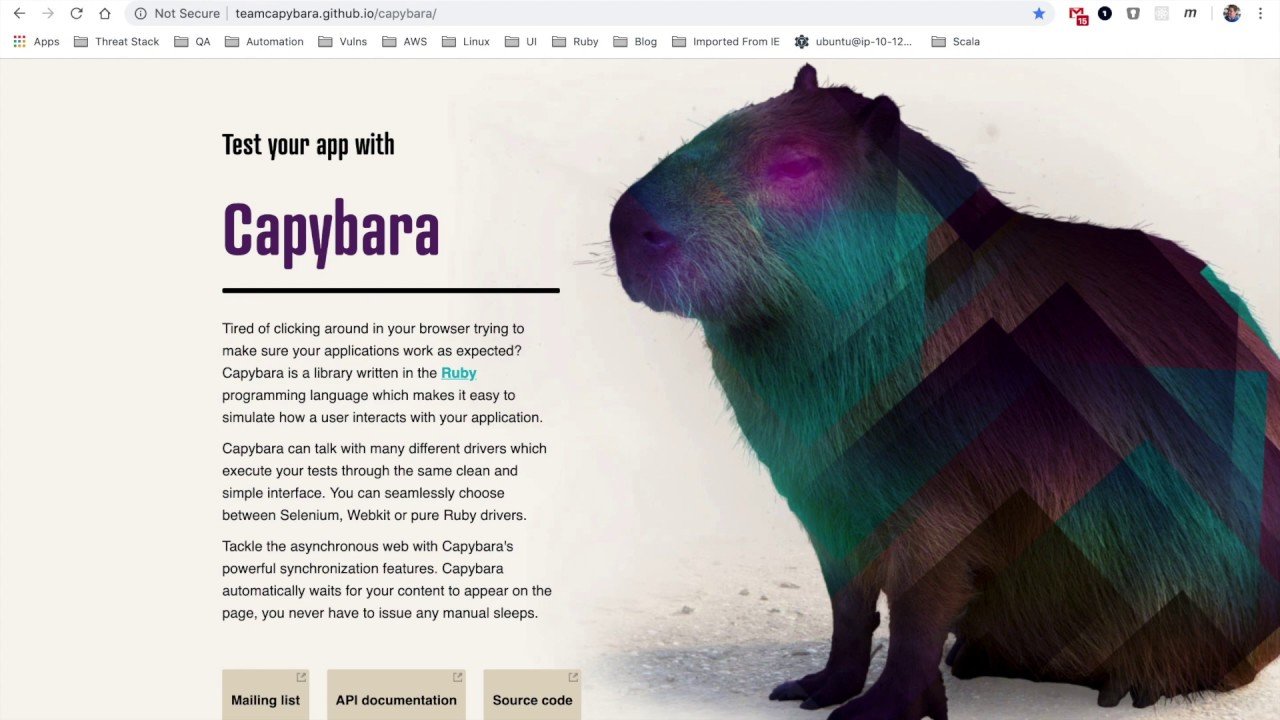 Introducing the New Capybara Selenium Driver