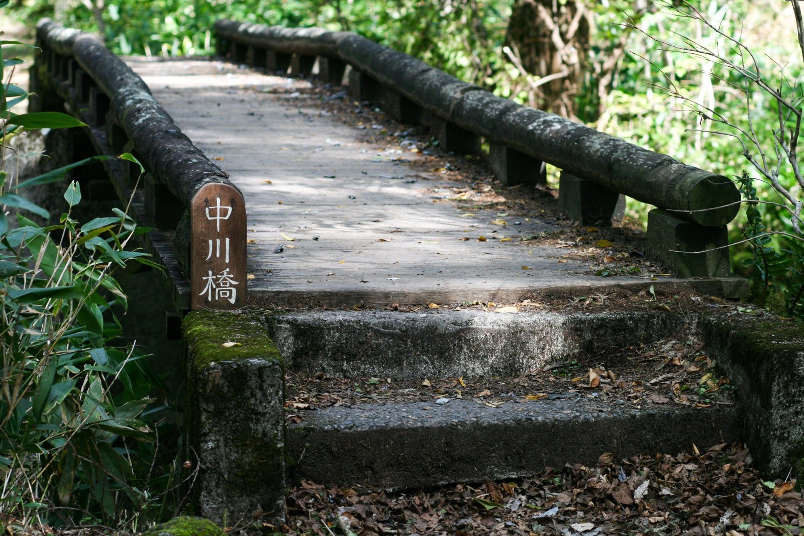 Steps to Becoming a Capybara