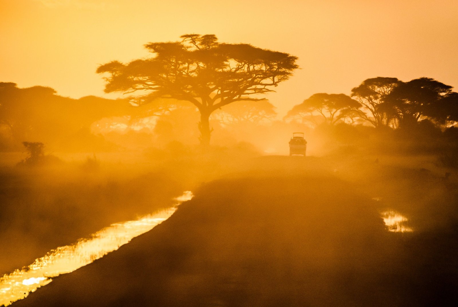 The Fascinating Capybaras of South Africa